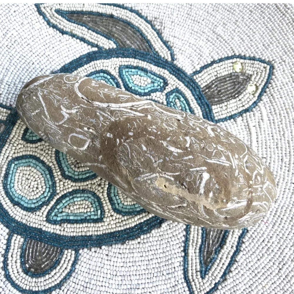 Fossil Hag stone - Picture 5 of 8